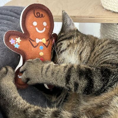 Katzenspielzeug 4cats X-Mas Kollektion Lebkuchenmann von Katze bespielt