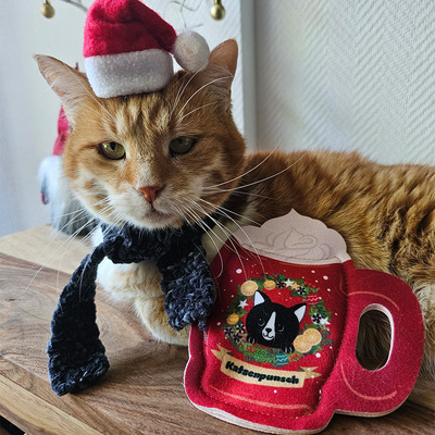 Katze mit Mütze und Schal liegt hinter einem Katzenspielzeug in Form einer Punschtasse