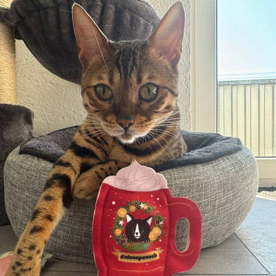 Katze liegt in Katzenkorb, daran angelehnt steht ein Katzenspielzeug aus Stoff in Form einer Punschtasse
