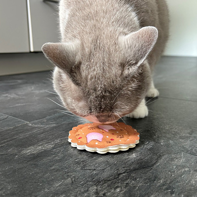 Katze sitzt auf Fußboden und schnuppert an Katzenspielzeug in Form eines Keks