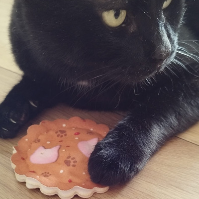 Liegende schwarze Katze hält Katzenspielzeug in Form eines Keks mit der Pfote fest