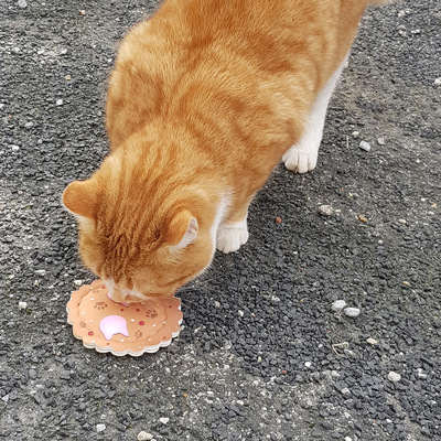 Katze schnuppert an Katzenspielzeug aus Stoff in Form eines Keks