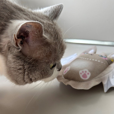 Katze schnuppert an Katzenspielzeug in Form eines Katzenengels