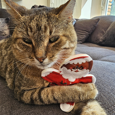 Liegende Katze umarmt Katzenspielzeug aus Stoff in Form eines Lebkuchen-Weihnachtsmanns mit Pfote