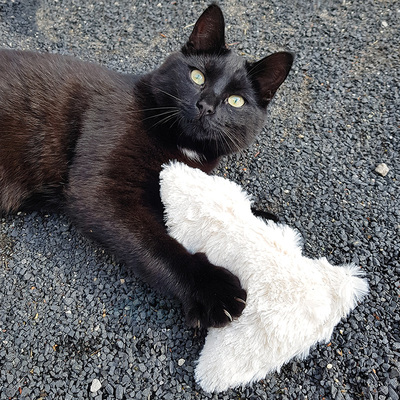 Liegende Katze hält Plüschspielzeug in Form eines Tannenbaums in den Pfoten