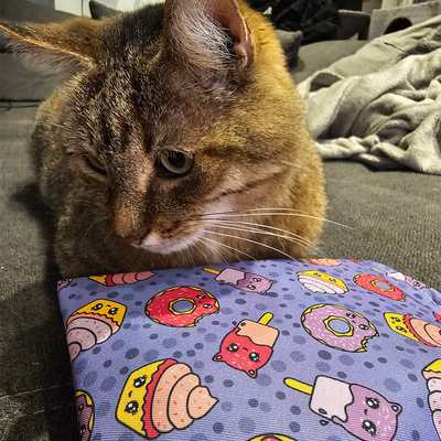 Katze sitzt vor Raschelkissen in lila Design mit Donut- und Eis-Motiven aus der Kawaii-Food Kollektion