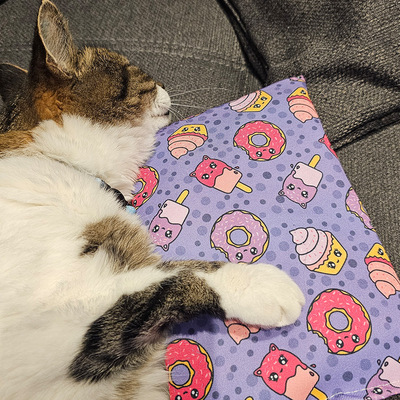 Liegende Katze hält Raschelkissen in lila Design mit Donut- und Eis-Motiven mit der Pfote fest