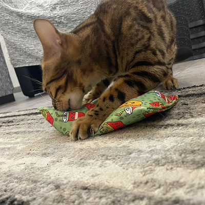 Katze hält Raschelkissen in grünem Design mit Burger- und Fritten-Motiven mit der Pfote fest und schnuppert daran