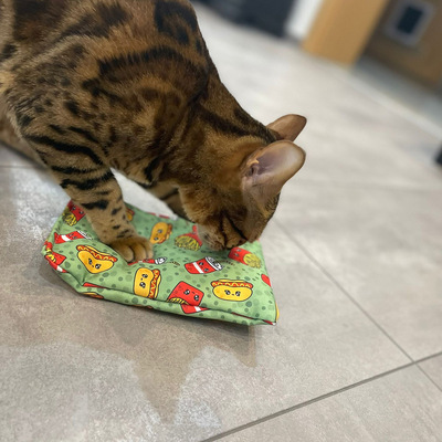 Katze steht mit einer Pfote auf Raschelkissen in grünem Design mit Burger- und Fritten-Motiven und schnuppert daran