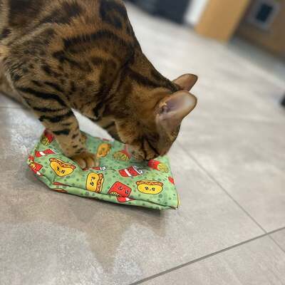 Katzenspielzeug 4cats Kawaii Kollektion Raschelkissen Gruen Katze spielt auf Kacheln