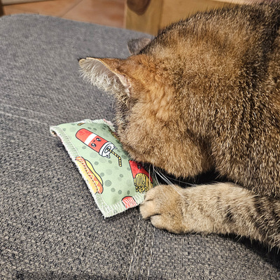 Katze hält Schmusekissen in grünem Design mit Burger- und Fritten-Motiven fest und schnuppert daran
