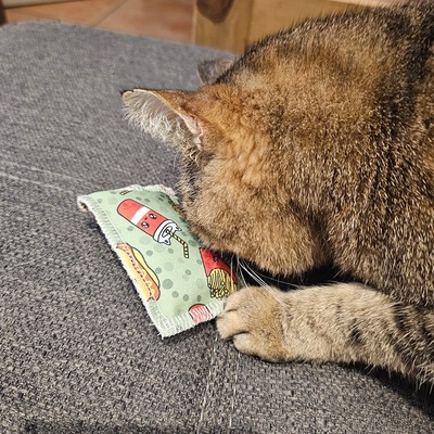 Katzenspielzeug 4cats Kawaii Kollektion Schmusekissen Gruen - Katze schmust