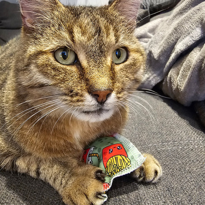 Katze hält Schmusekissen in grünem Design mit Burger- und Fritten-Motiven zwischen den Pfoten
