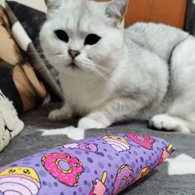 Katzenspielzeug 4cats Kawaii Kollektion Spielrolle Lila mit weiss grauer Katze