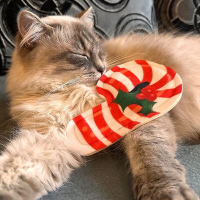 4cats Katzenspielzeug X-Mas Mini-Zuckerstange mit liegender Katze