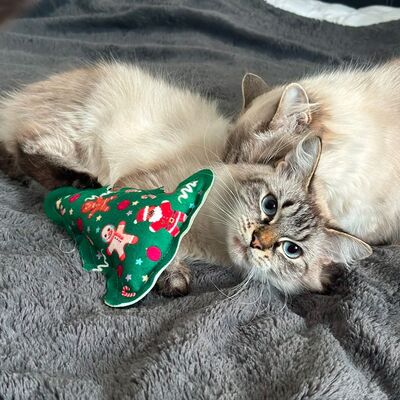 4cats Katzenspielzeug X-Mas Tannenbaum mi Katze auf Decke spielend