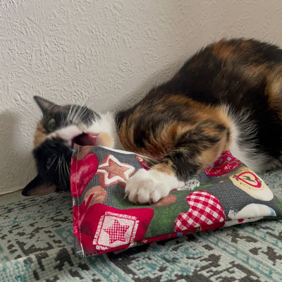 Katzenspielzeug 4cats X-Mas Kollektion Raschelkissen dreifarbige Katze tobt mit dem Kissen