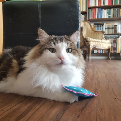 Katzenspielzeug 4cats Klassik Kollektion Schmusekissen - American Bobtail Charlie, mit gemustertem Kissen