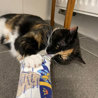 Katzenspielzeug 4cats Klassik Spielrolle - dreifarbige Katze krallt daran auf einem grauen Boden liegend