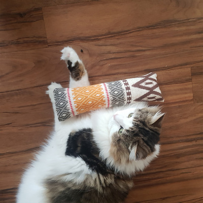 4cats Klassik Spielrolle - dreifarbige Langhaarkatze liegt mit Spielzeug auf braunem Holzfurnier