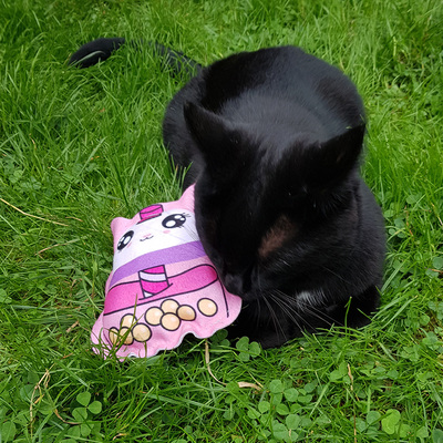 Schwarze Katze sitzt neben Katzen-Spielfigur aus Stoff, Design Bubble Tea Cat