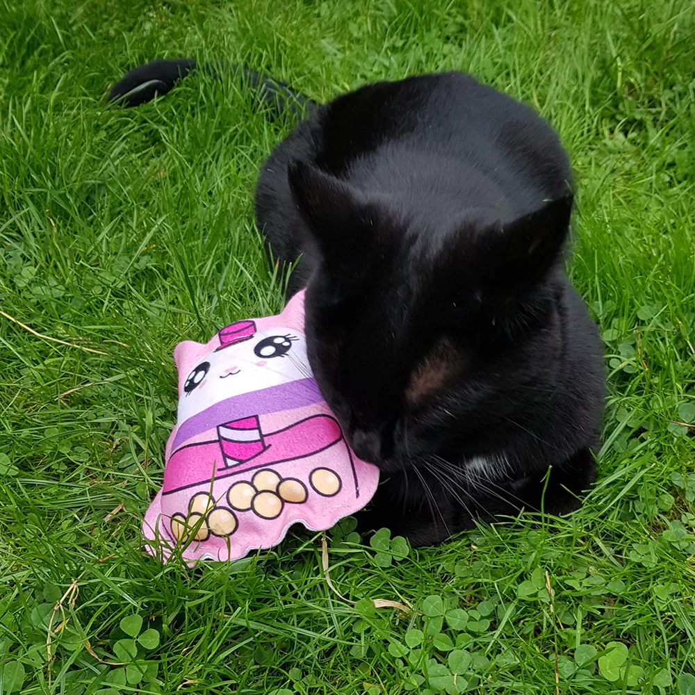 Schwarze Katze sitzt neben Katzen-Spielfigur aus Stoff, Design Bubble Tea Cat