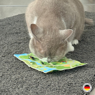 4cats Katzenspielzeug Lucy Kollektion Happiness weisse Katze auf grauem Teppich