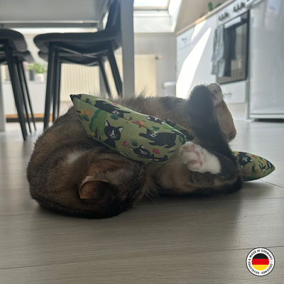 4cats Katzenspielzeug Lucy Kollektion Raschelkissen Katze auf dem Bode tobend