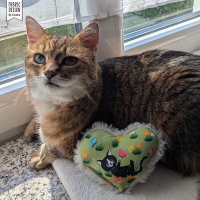 Katzenspielzeug Lucy Kollektion Herz Front mit Katze