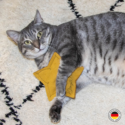 Liegende Katze hält Katzenspielzeug in Form eines Sterns in den Pfoten