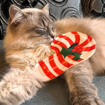 Katze schnuppert an Katzenspielzeug in Form einer Zuckerstange aus Stoff