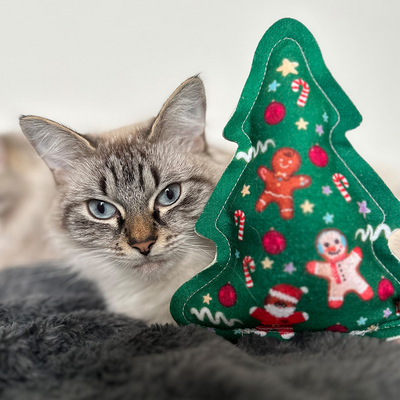 Katze liegt hinter Katzenspielzeug in Tannenbaum-Form, aus grünem Stoff mit Weihnachtsmotiven