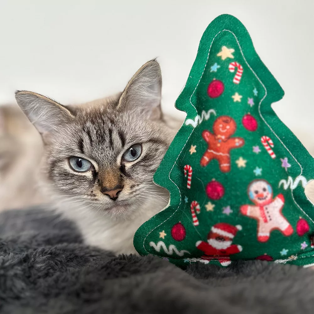 Katze liegt hinter Katzenspielzeug in Tannenbaum-Form, aus grünem Stoff mit Weihnachtsmotiven