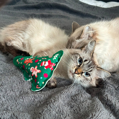 Katze mit Katzenspielzeug in Tannenbaum-Form, aus grünem Stoff mit Weihnachtsmotiven