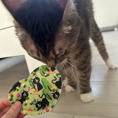4cats Lucy Kollektion Katzenspielzeug Mini Herz mit Katze