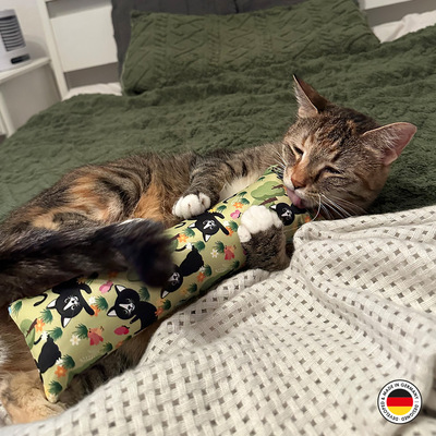 Seitlich liegende Katze hält Katzen-Spielrolle zwischen den Pfoten und leckt daran