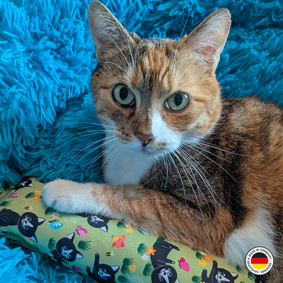 Liegende Katze mit Pfote auf Katzen-Spielrolle aus Stoff, im Lucy-Design, Grundfarbe hellgrün mit schwarzer Katze und anderen Motiven