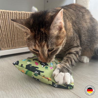 Katze hält Pfote auf Raschelkissen und schnuppert daran