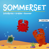 4cats Sommerset 2026 Sammelbild