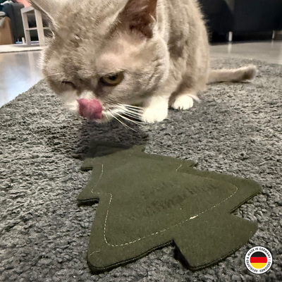 Katze schleckt an Katzenspielzeug in Tannenbaumform aus dunkelgrünem Stoff