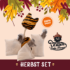 4cats Kitten Safe House Herbstset
