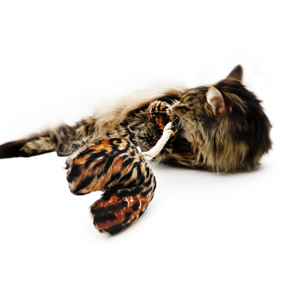 Kitten Safe House Herbstset – Bild 3